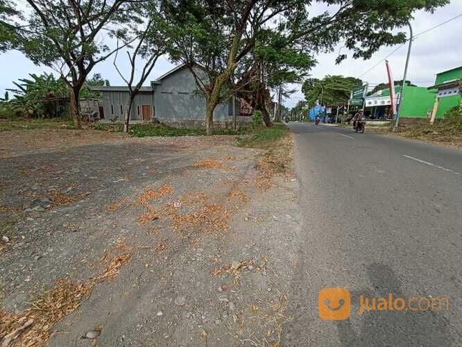 Tanah Strategis di Kudaile Slawi, Dekat Pusat Kota dan Pasar