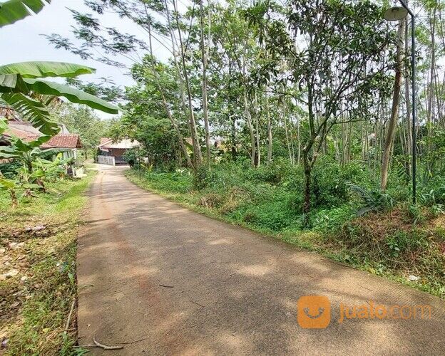 Tanah Bojonggede Lingkungan Asri Selangkah Ke Jalan Raya Tonjong