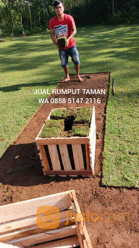Harga Terbaru Rumput Golf Cilacap Kwalitas Terbaik