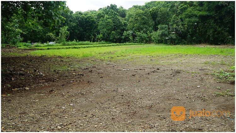 Tanah Pleret Jogja 1 Jutaan Dekat Rumah Sakit Permata Husada