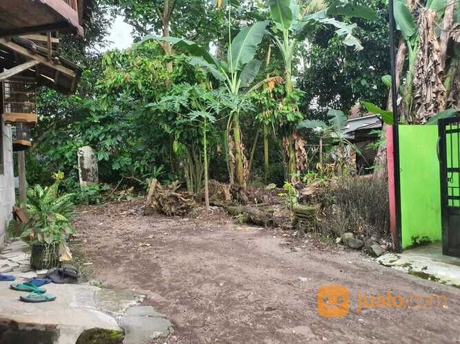 Tanah Yogyakarta, 318 METER menuju Afkaaruna Islamic School