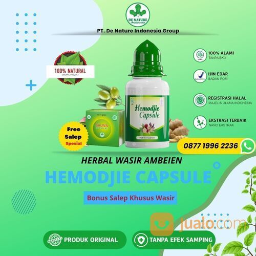 obat ambien yang sedang Viral Hemodjie Kapsul Pengempes benjolan Internal (Dalam Anus)