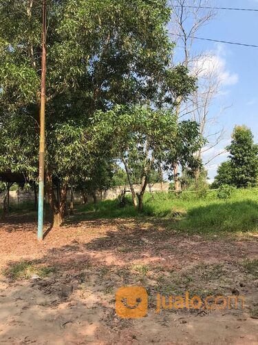 Tanah murah jalan sulaiman amin (talang buruk) km 7