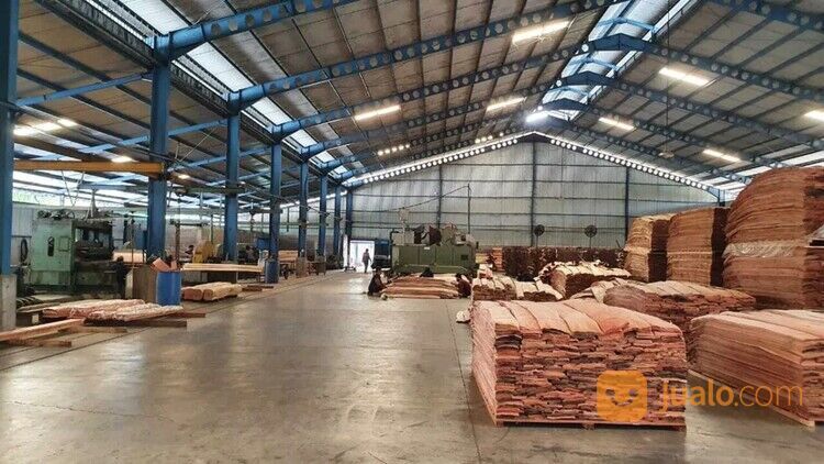 Pabrik Kayu Olahan Masih Beroperasi di Beji Pasuruan