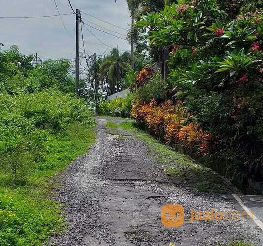 Tanah 1,5045 Ha. Jl. Munduk Batu Belah Sempol Pererenan Mengwi