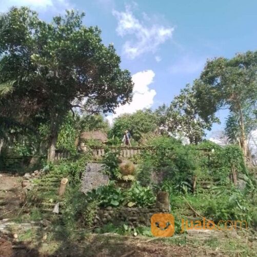 Tanah 1,5045 Ha. Jl. Munduk Batu Belah Sempol Pererenan Mengwi
