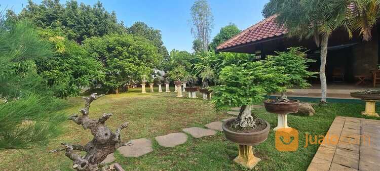Rumah Mewah di dekar Pahoman dan Kedamaian Full Furnished dengan Kolam Renang