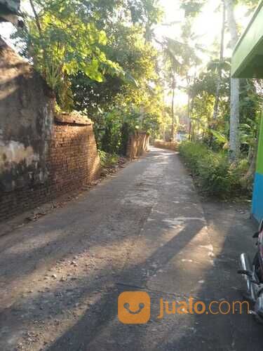 Tanah luas di sorobayan sanden bantul