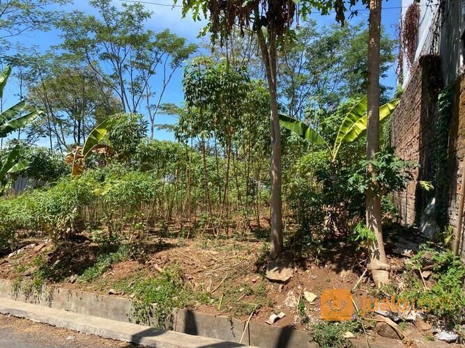 Tanah Dekat Undip di Gondang Timur Tembalang Semarang