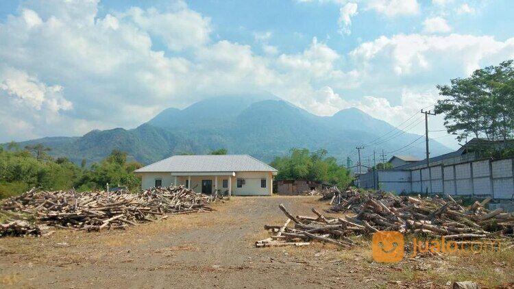Pabrik Kayu Ngoro Mojokerto