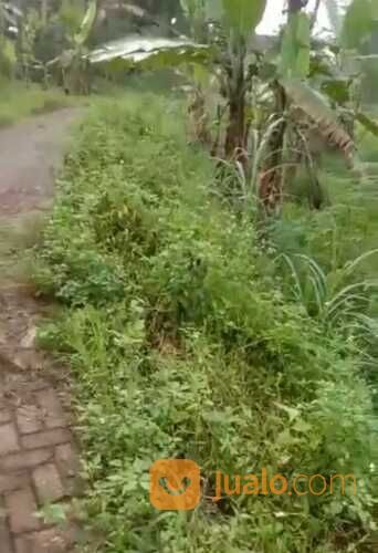Tanah Plalangan Gunungpati Kota Semarang