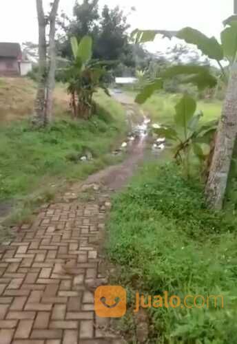 Tanah Plalangan Gunungpati Kota Semarang