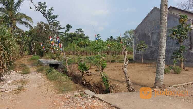 TANAH KAVLING LOKASI DEKAT ISTANA BORDIR PAKIS