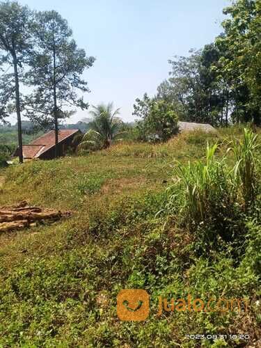 Tanah Murah Lokasi Plalangan Gunungpati
