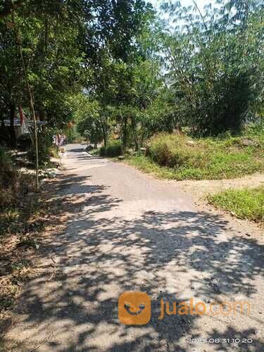 Tanah Murah Lokasi Plalangan Gunungpati