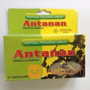 ANTANAN ASLI ORIGINAL KAPSUL