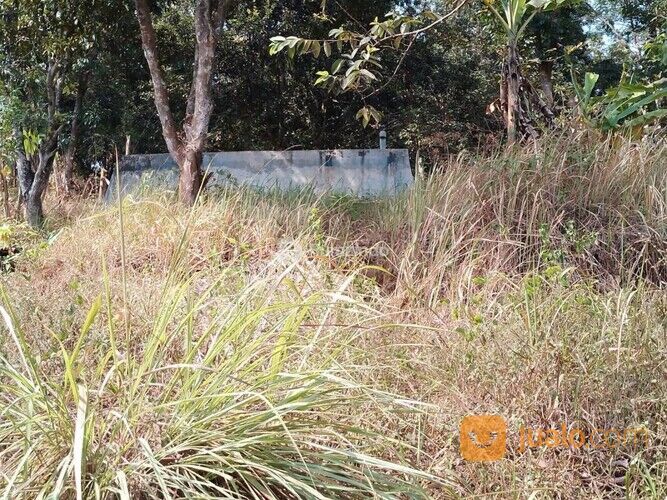 Tanah Murah Tengah Kota Sumedang