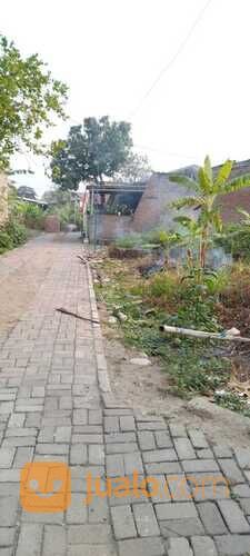 Tanah di Blancir Pedurungan Kidul Semarang
