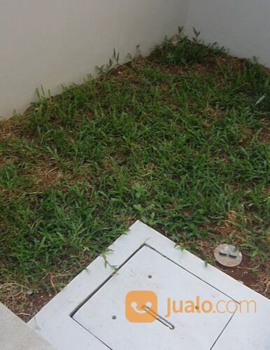 Ruko 3 Lantai di Jalan Utama Lippo Cikarang The Hive Mataram - Invest Pasti Cuan