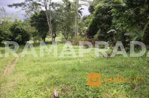 Tanah 87 Are Apuan Baturiti Tabanan View Sawah Dekat Jatiluwih