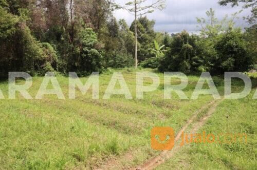 Tanah 87 Are Apuan Baturiti Tabanan View Sawah Dekat Jatiluwih