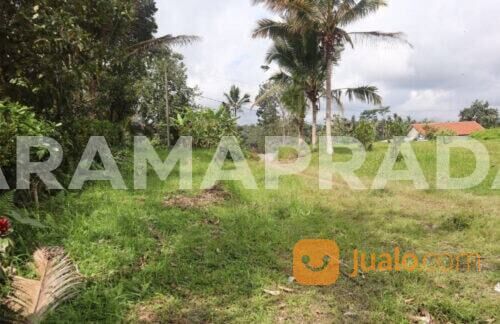 Tanah 87 Are Apuan Baturiti Tabanan View Sawah Dekat Jatiluwih