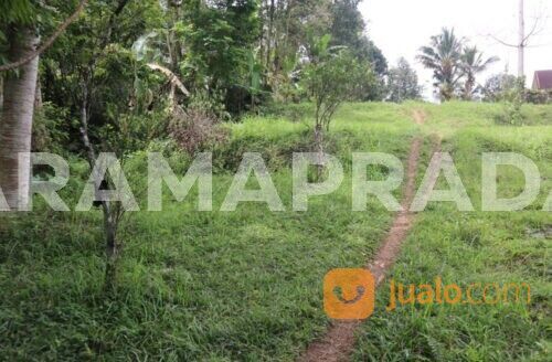 Tanah 87 Are Apuan Baturiti Tabanan View Sawah Dekat Jatiluwih