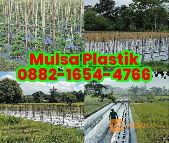 Ô882-IᏮ5ㄐ-ㄐᜪᏮᏮ toko plastik mulsa terdekat, mulsa plastik temanggung