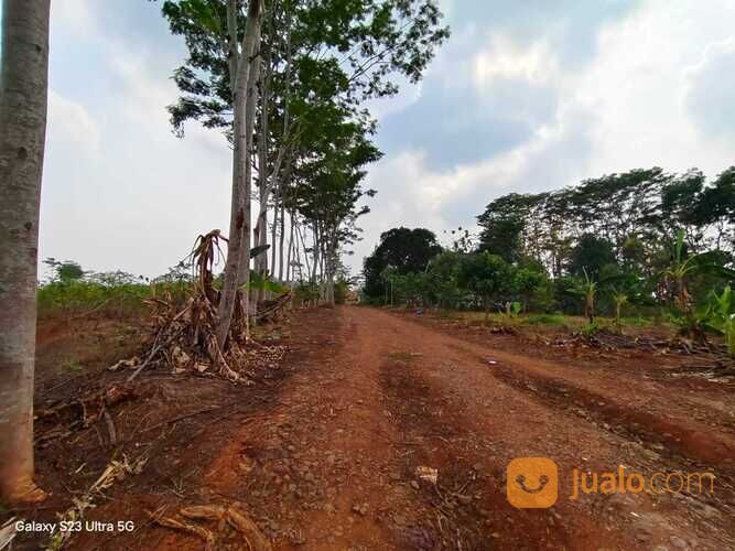 9 Menit Alun-Alun Batang, Tanah Siap Bangun, Cocok untuk Hunian