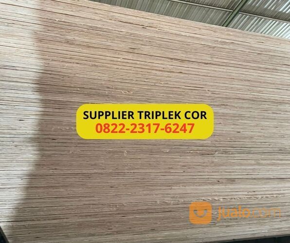 TERLARIS, WA 0822-2317-6247, Triplek cor 12mm Pati