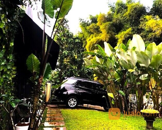 Rumah Murah dan Asri 1 Lantai di Serpong Dekat Mcd Alam Sutera