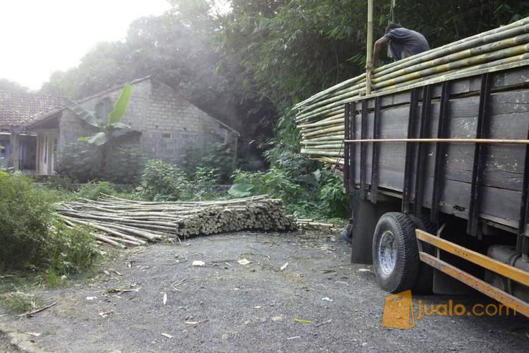 Bambu,Kayu Kaso Dan Dolken Murah Se Jabodetabek