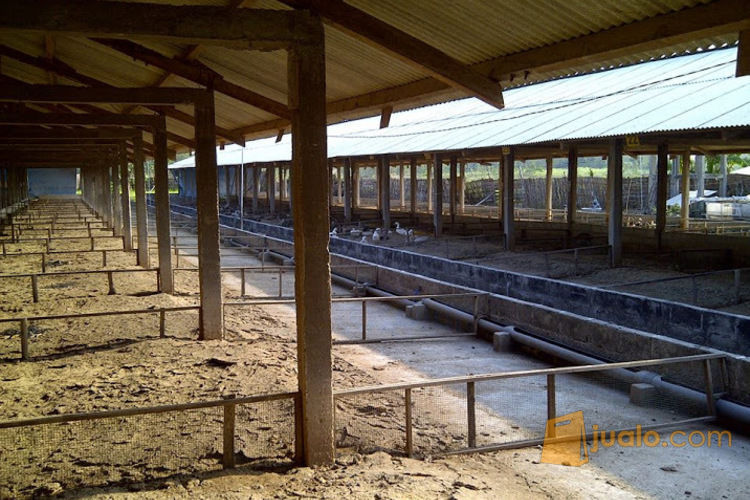 Jual Tanah Di Jombang
