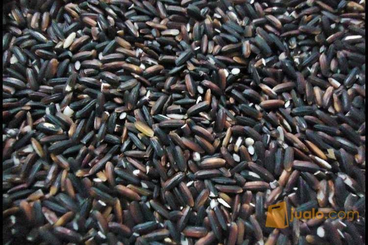 Jual Beras Ketan Hitam Kualitas Super Kab Pasaman Barat Jualo