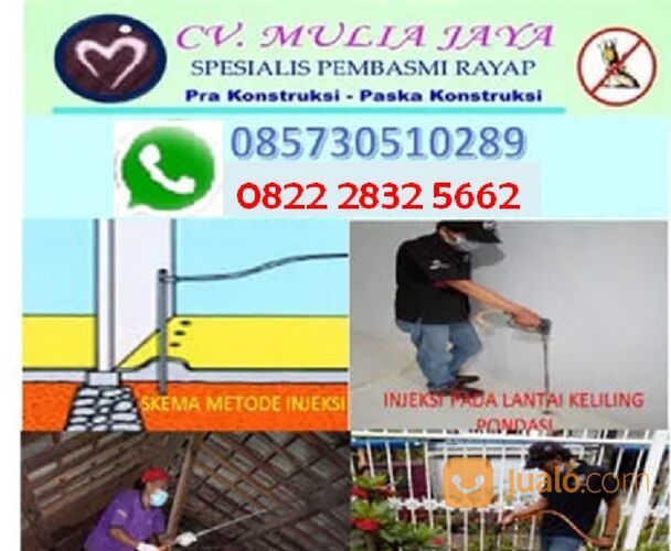 JASA ANTI RAYAP TERBAIK DI CILACAP , BANYUMAS, PURWOKERTO, KEBUMEN