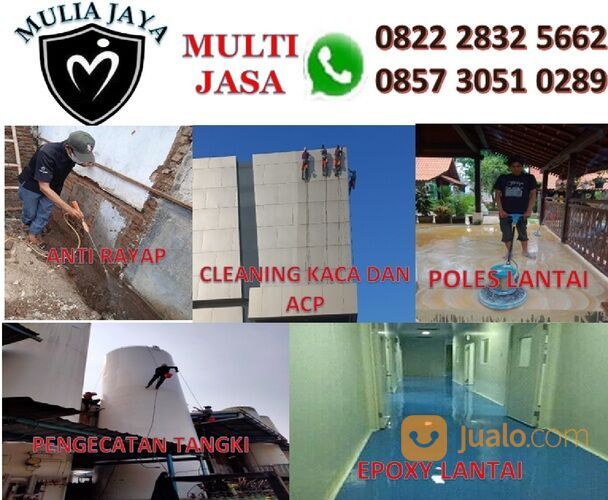 JASA ANTI RAYAP MURAH DAN BERGARANSI DI PURWOKERTO DAN CILACAP