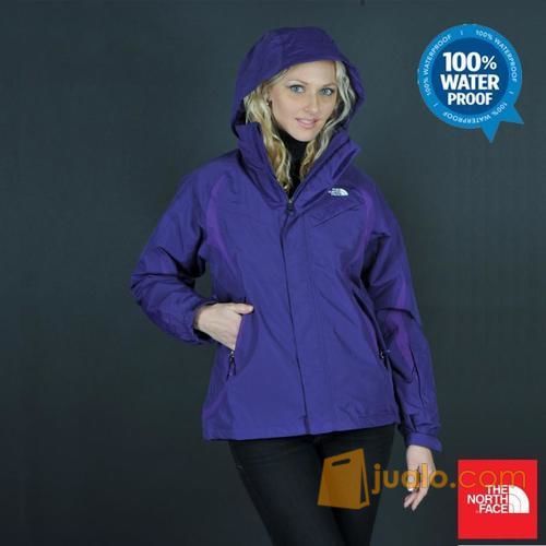 the north face limited edition