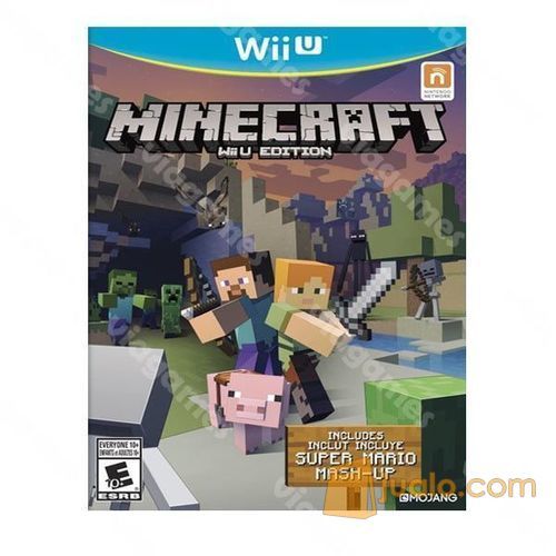 minecraft wii u edition