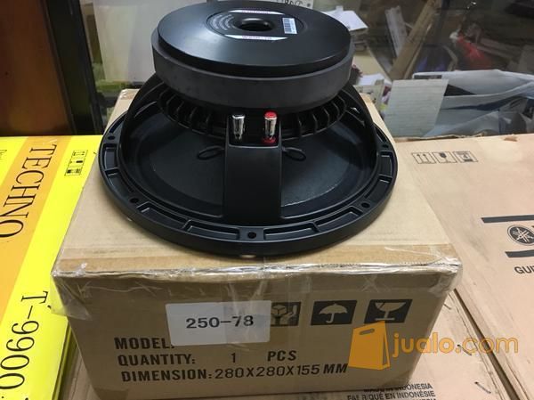 speaker wisdom 10 inch