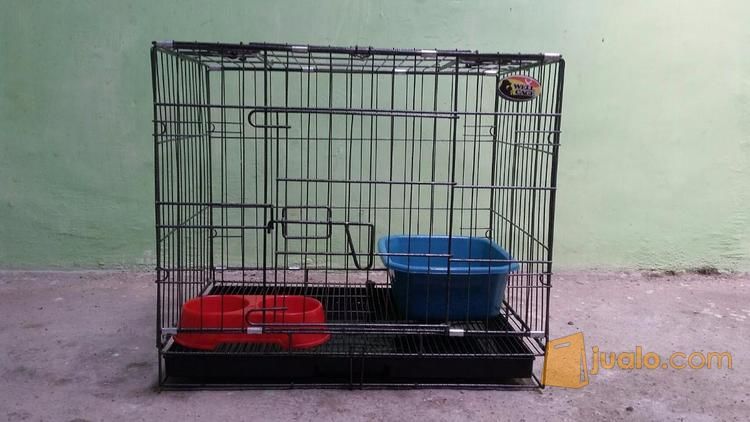 Kandang Kucing Well Cage