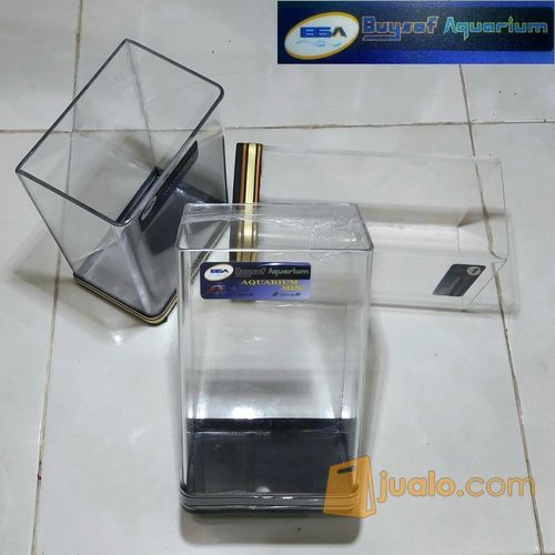 Aquarium Mini Ikan Cupang Aquascape Mini Malang Jualo