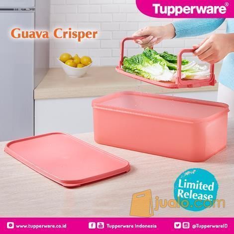 Tupperware Guava Crisper Mencuci Meniriskan Dan Menyimpan
