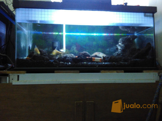 aquarium bekas aquascape Kab. Bekasi Jualo