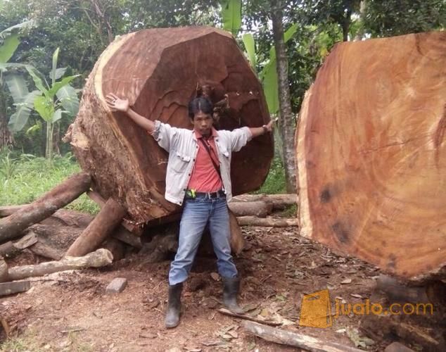 jual kayu  nangka  berupa Papan Kusen Balok meja utuh 