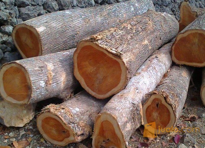 jual papan  kayu  nangka kusen balok Mejah utuh tampa 