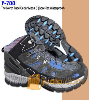 north face cedar mesa