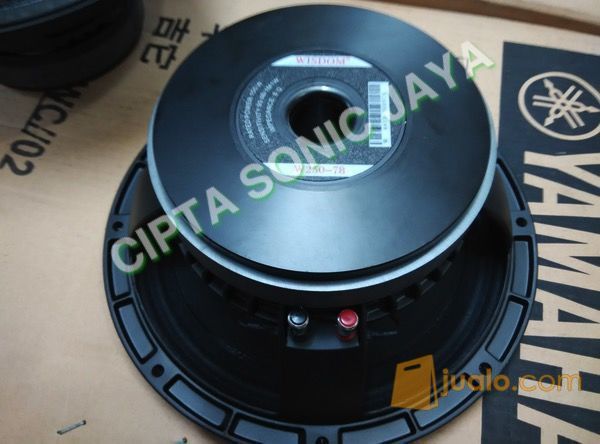 speaker wisdom 10 inch