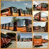 081392403067, Sewa Bus Pariwisata, Sewa Bus Panorama, Sewa Bus Jogja (18944615) di Kab. Bantul