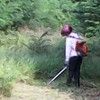 Mesin potong rumput g jasa dan pekerjaan lainnya 19282831