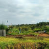 Geranium Land, Tanah Kavling Kampus Profit Tinggi Dau Malang Batu (20319415) di Kab. Malang